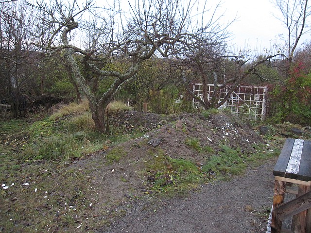 2010-12-04 064